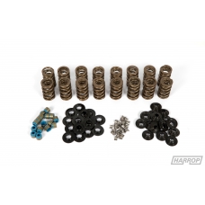 Valve Spring Kit PAC11905