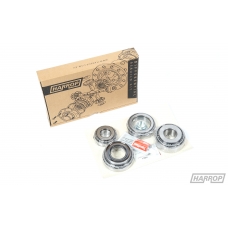 Rebuild Kit | Diff | Mitsubishi | Rear | MIT2115