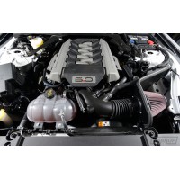 CAI System | Ford Mustang GT